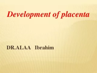 DR.ALAA   Ibrahim