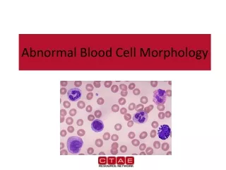 Abnormal Blood Cell Morphology