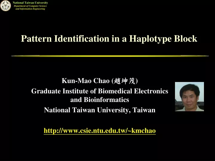 pattern identification in a haplotype block