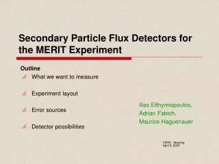 Secondary Particle Flux Detectors for the MERIT Experiment