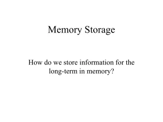 Memory Storage