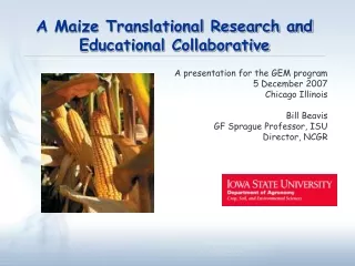 A Maize Translational Research and Educational Collaborative
