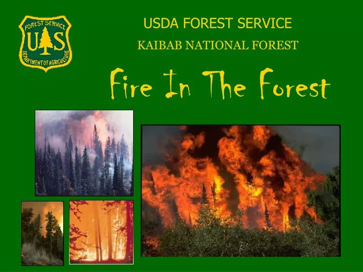 usda forest service kaibab national forest