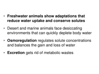 Freshwater animals show adaptations that reduce water uptake and conserve solutes