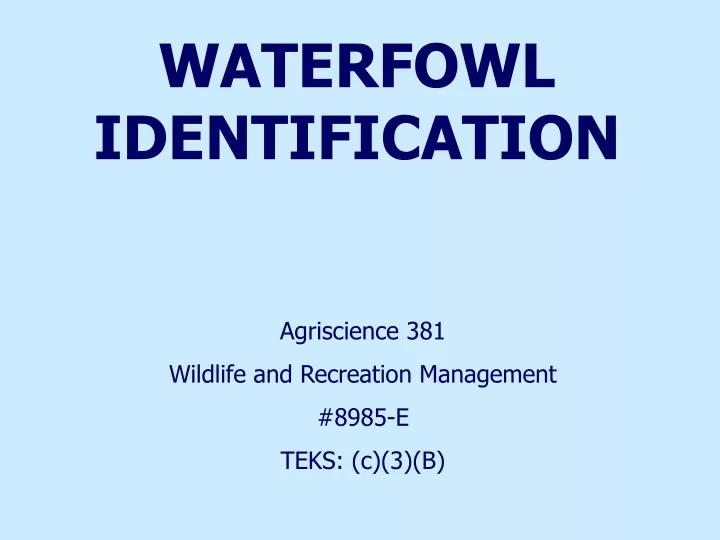 waterfowl identification