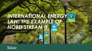 INTERNATIONAL ENERGY LAW: THE EXAMPLE OF NORD STREAM II