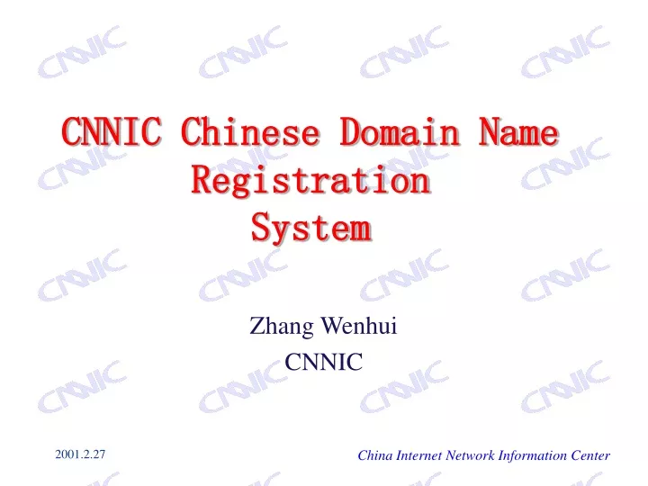 cnnic chinese domain name registration system