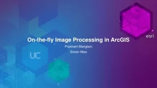 On-the-fly Image Processing in ArcGIS