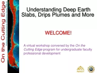 Understanding Deep Earth Slabs, Drips Plumes and More