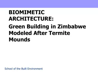 BIOMIMETIC ARCHITECTURE:  Green  Building in Zimbabwe Modeled After Termite Mounds