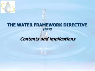 THE WATER FRAMEWORK DIRECTIVE  (WFD)