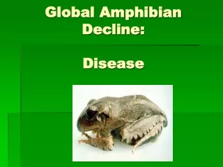 Global Amphibian Decline:  Disease