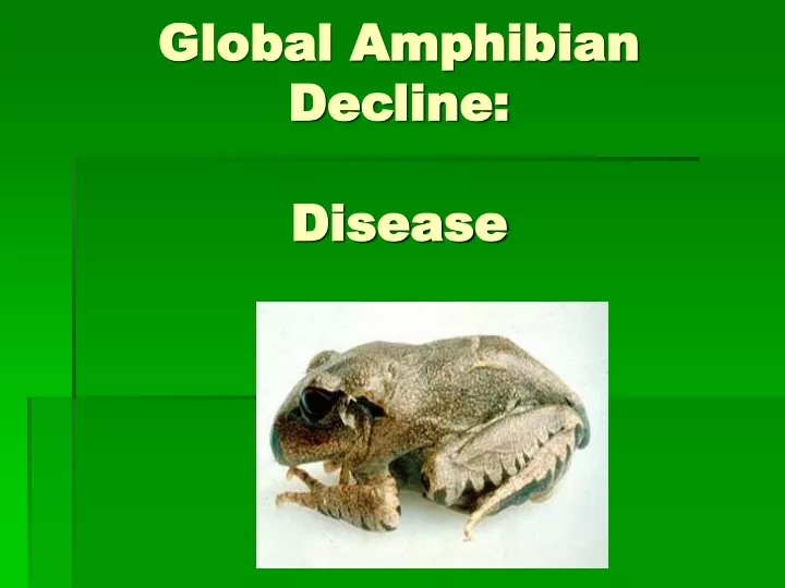 global amphibian decline disease