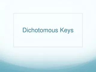 Dichotomous Keys