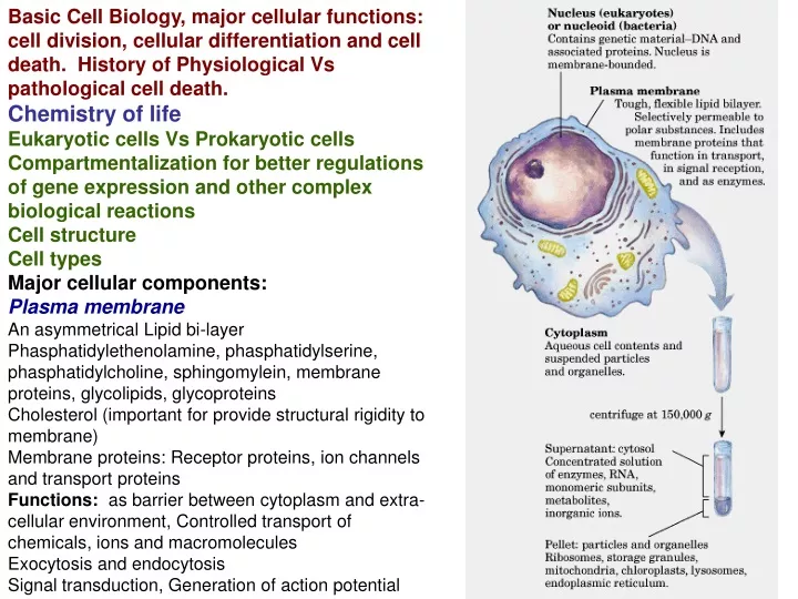 basic cell biology major cellular functions cell