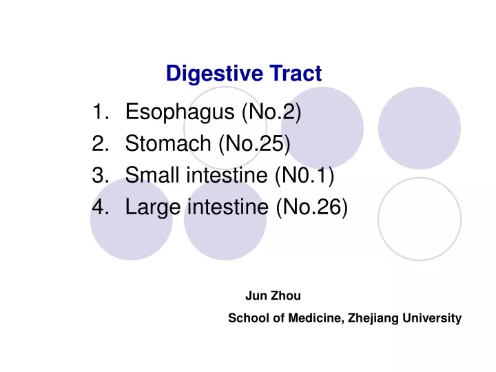 digestive tract