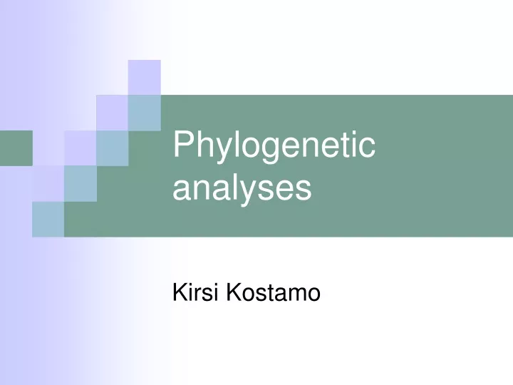 phylogenetic analyses