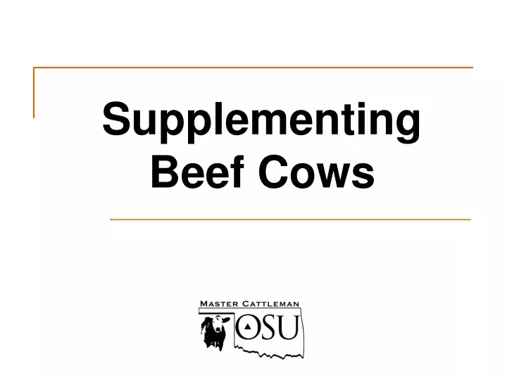 supplementing beef cows