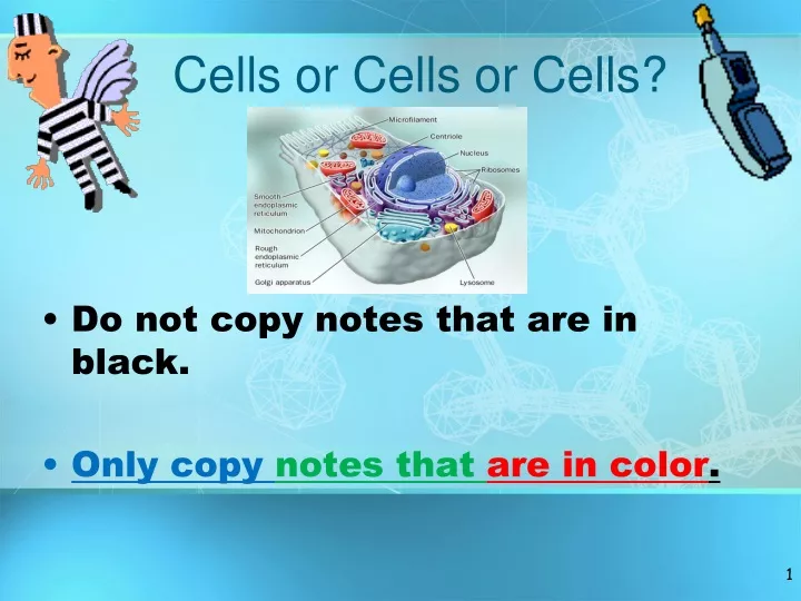 cells or cells or cells