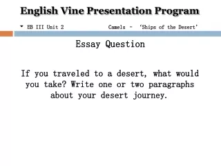 Essay Question