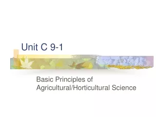 Unit C 9-1