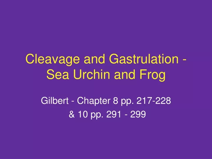 cleavage and gastrulation sea urchin and frog