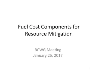 Fuel Cost Components for Resource Mitigation