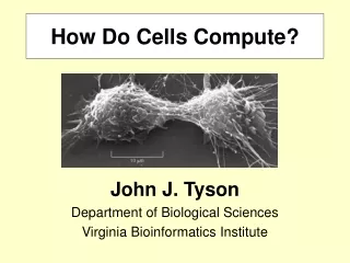How Do Cells Compute?