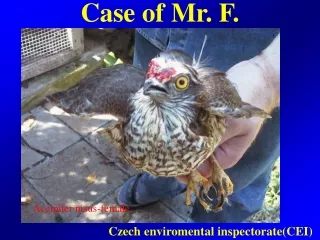 Case of Mr. F .