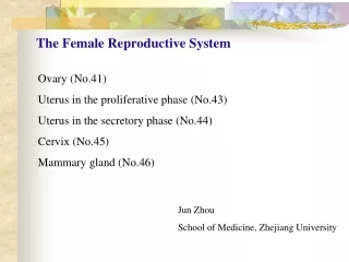 Ovary (No.41) Uterus in the proliferative phase (No.43) Uterus in the secretory phase (No.44)