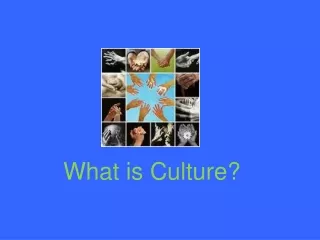 What is Culture?