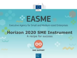 Horizon 2020 SME Instrument A  recipe  for  success