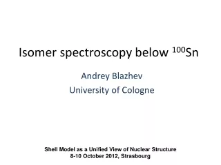 Isomer spectroscopy below  100 Sn