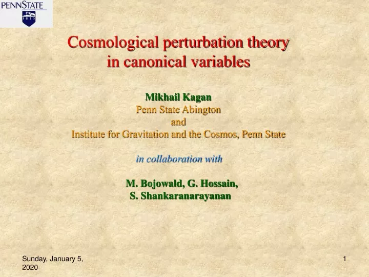 cosmological perturbation theory in canonical