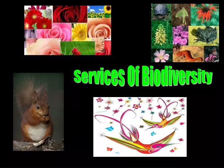 services of biodiversity