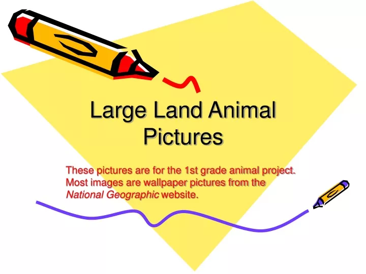 large land animal pictures