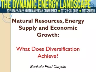 Natural  Resources, Energy  Supply and Economic Growth : What Does Diversification Achieve ?