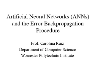 Artificial Neural Networks (ANNs) and the Error Backpropagation Procedure