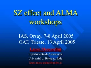 SZ effect and ALMA workshops