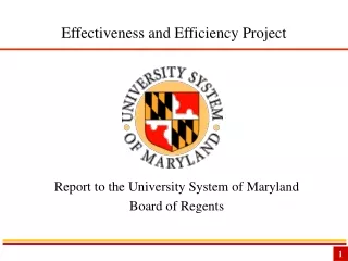 Effectiveness and Efficiency Project