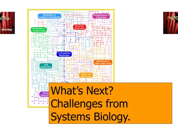 what s next challenges from systems biology