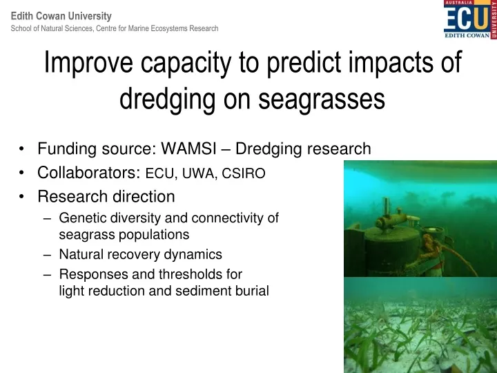improve capacity to predict impacts of dredging on seagrasses