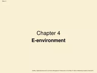 Chapter 4 E-environment