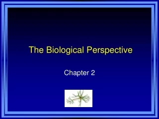 The Biological Perspective