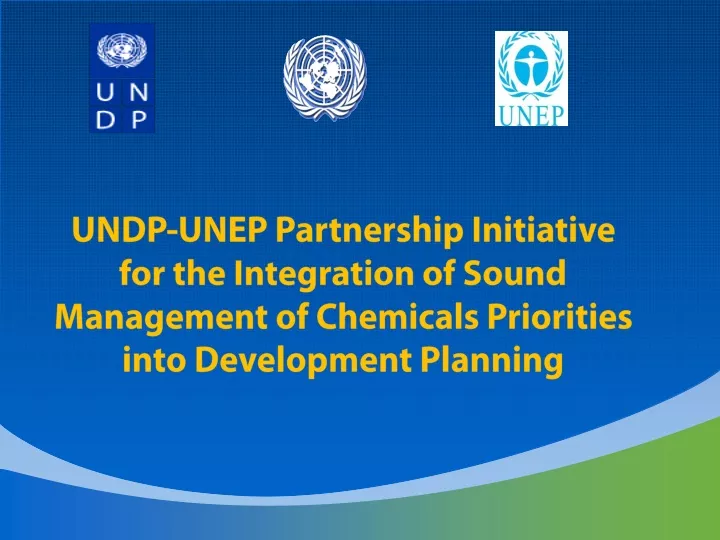 undp unep partnership initiative