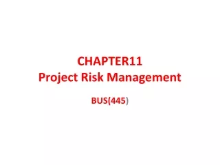 CHAPTER11 Project Risk Management