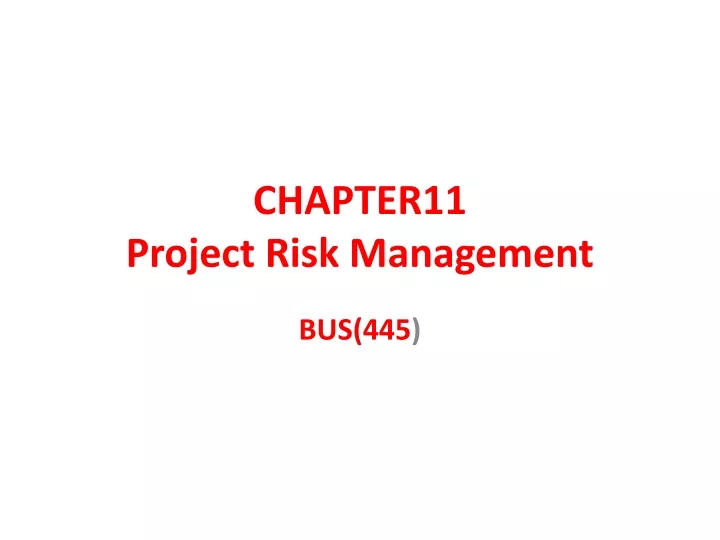 chapter11 project risk management