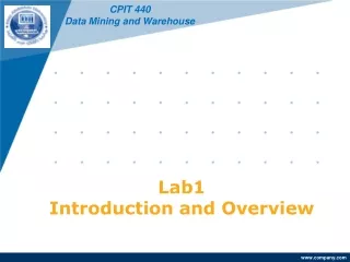 Lab1 Introduction and Overview