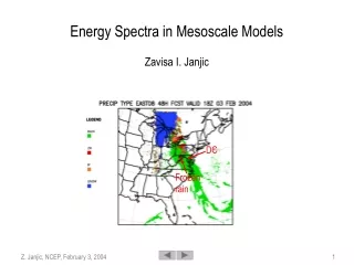 Energy Spectra in Mesoscale Models Zavisa I. Janjic
