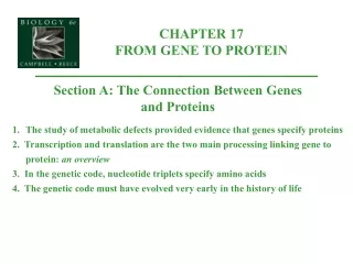 CHAPTER 17  FROM GENE TO PROTEIN